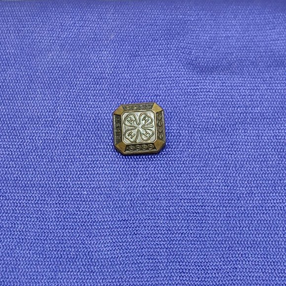 4-H First Year Award Lapel Brass Pin Clover Design & Gold-Tone Patina Finish VTG - Picture 2 of 7